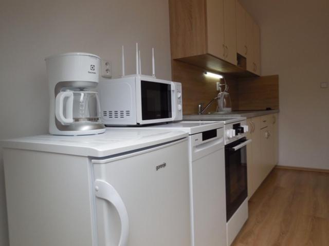 Apartman Kamenice Kamenice nad Lipou Eksteriør billede